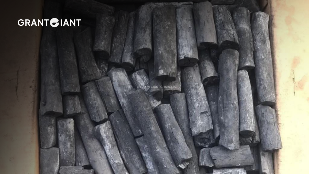 Binchotan Charcoal In Depth